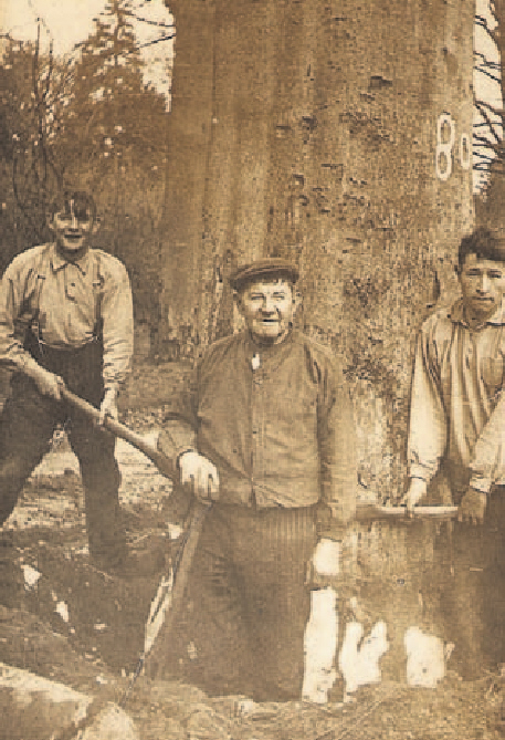 Klik voor foto in apart venster marinus_knoppers__vader_jacob_knoppers_en_rechts_schoonzoon_cornelis_van_den_broek_1892.jpg
